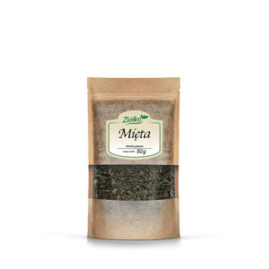 Mięta