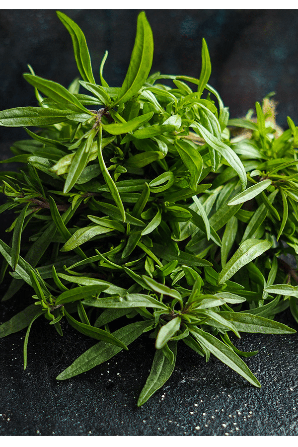 Cząber [bezglutenowy] 20 g – zdjęcie poglądowe