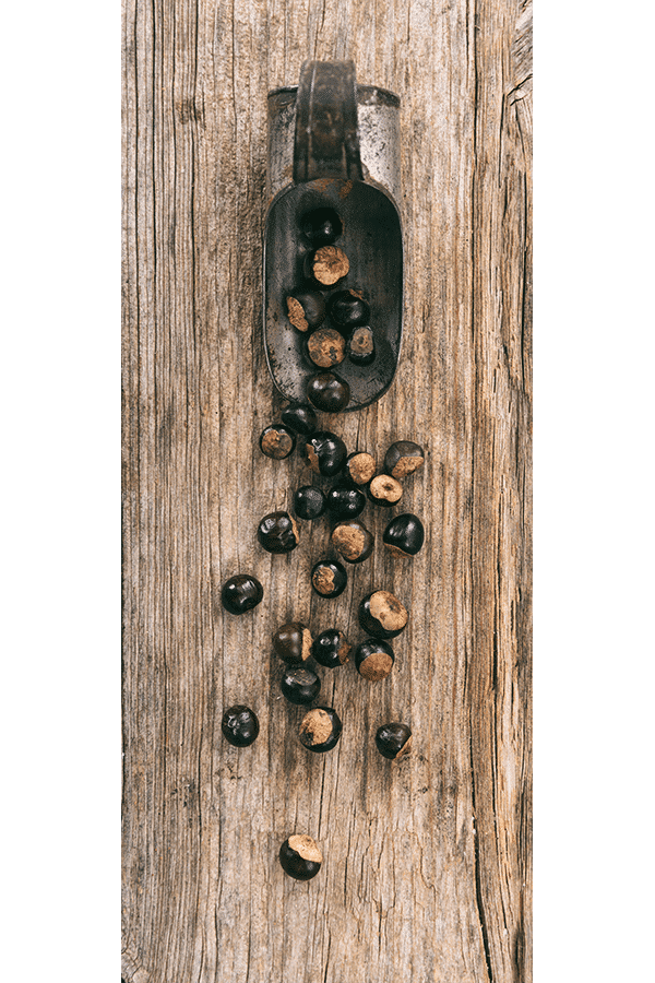 Guarana mielona 100 g – zdjęcie poglądowe
